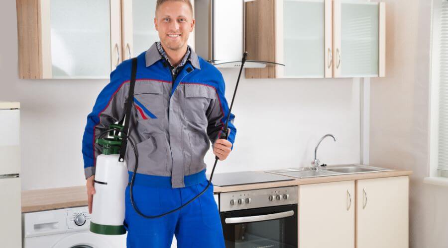 Professional pest control services in Docklands, Melbourne